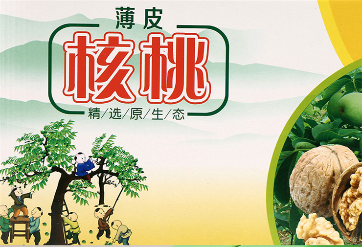 核桃包裝盒(圖11)